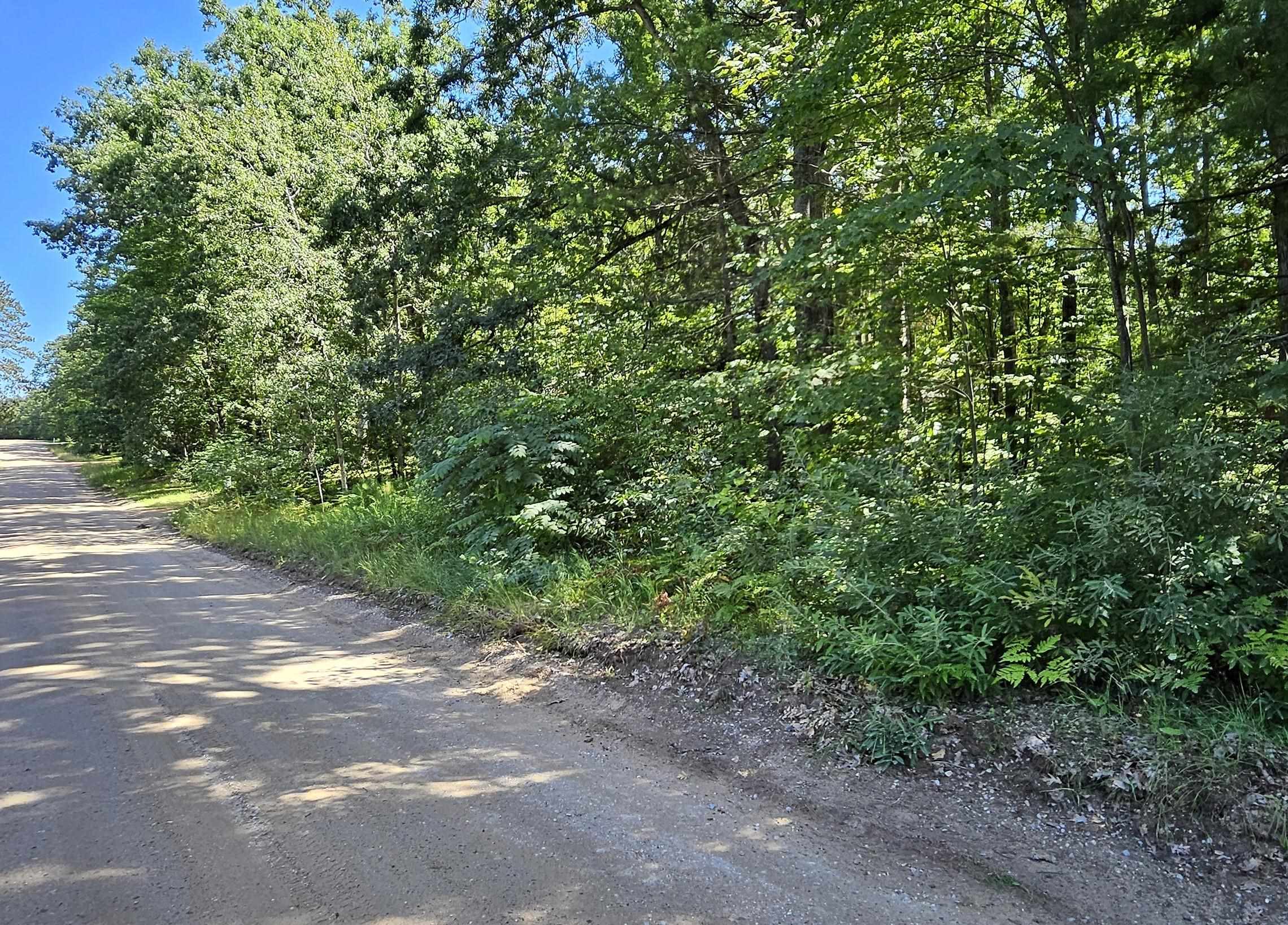 00 Merritt Street Fife Lake Township MI 49633
