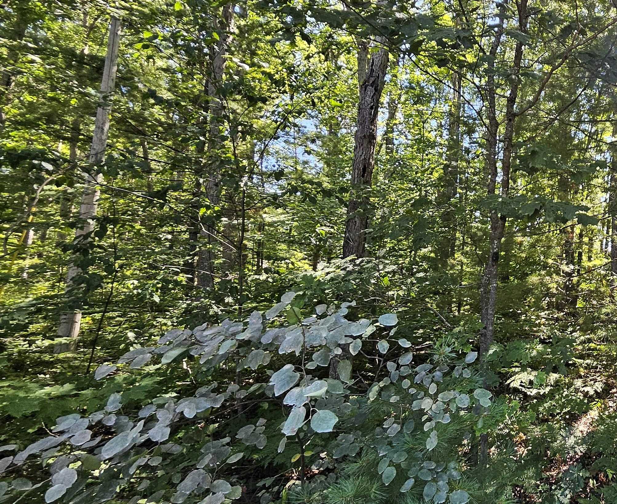 00 Merritt Street Fife Lake Township MI 49633