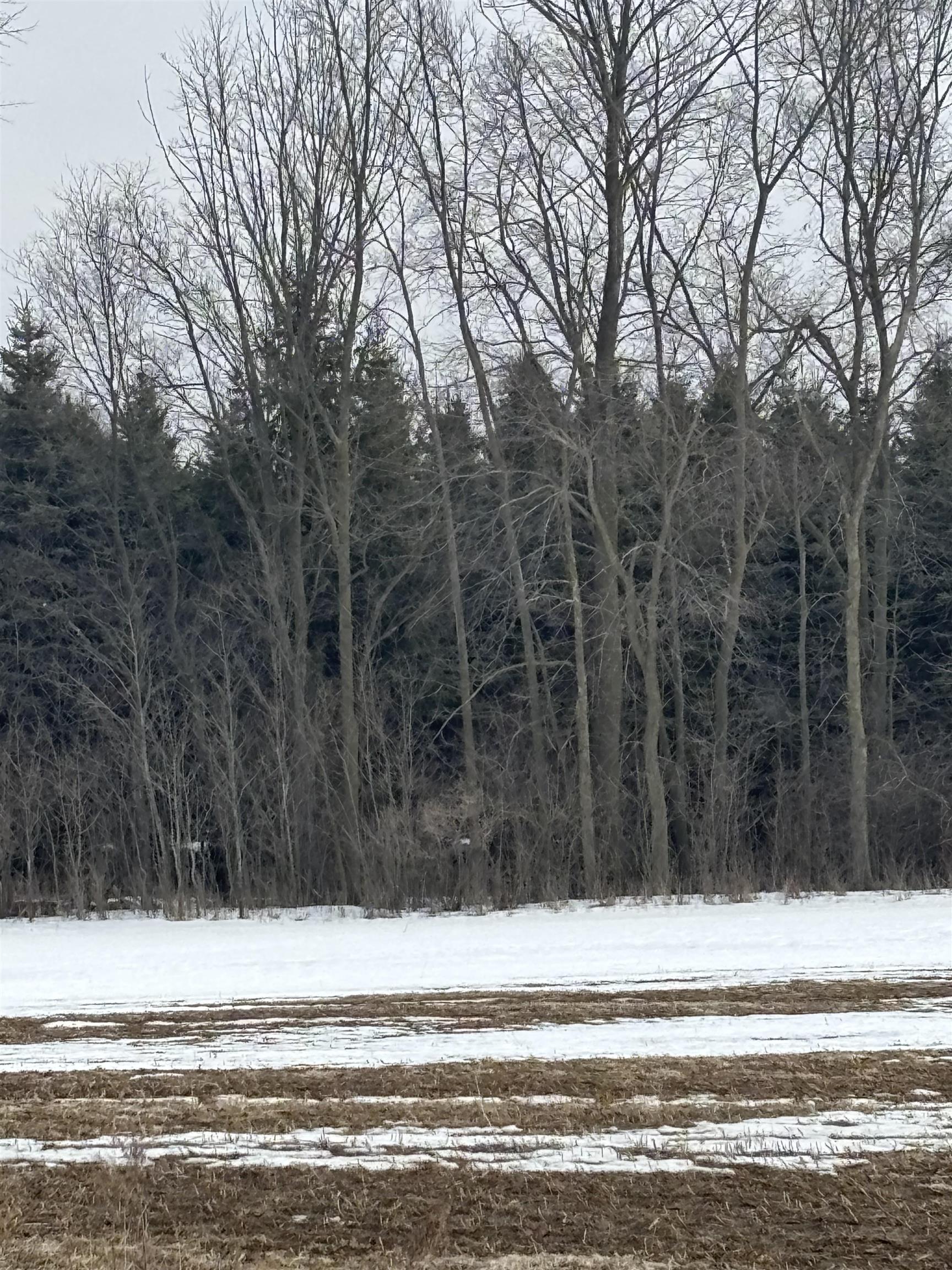 000 Pine Ridge Drive Deerfield Township MI 48858