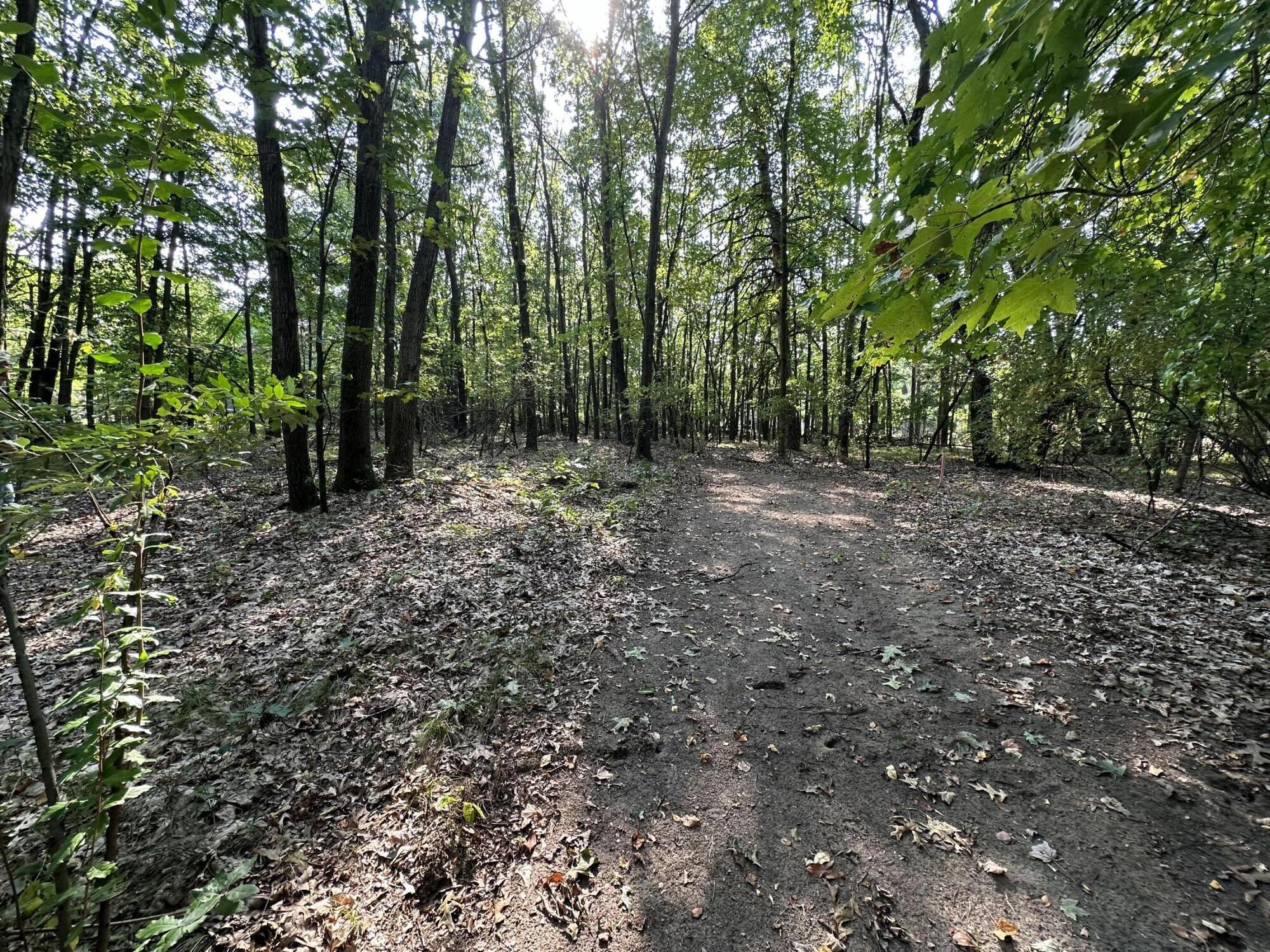 000 N 5 Mile Road Bedford Charter Township MI 49017