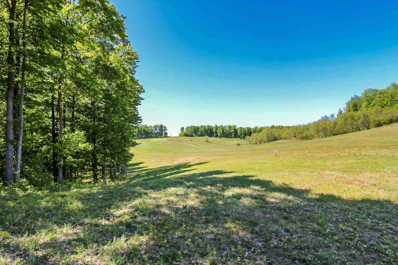 0025 Heather Ridge Trail Homestead Township MI 49617