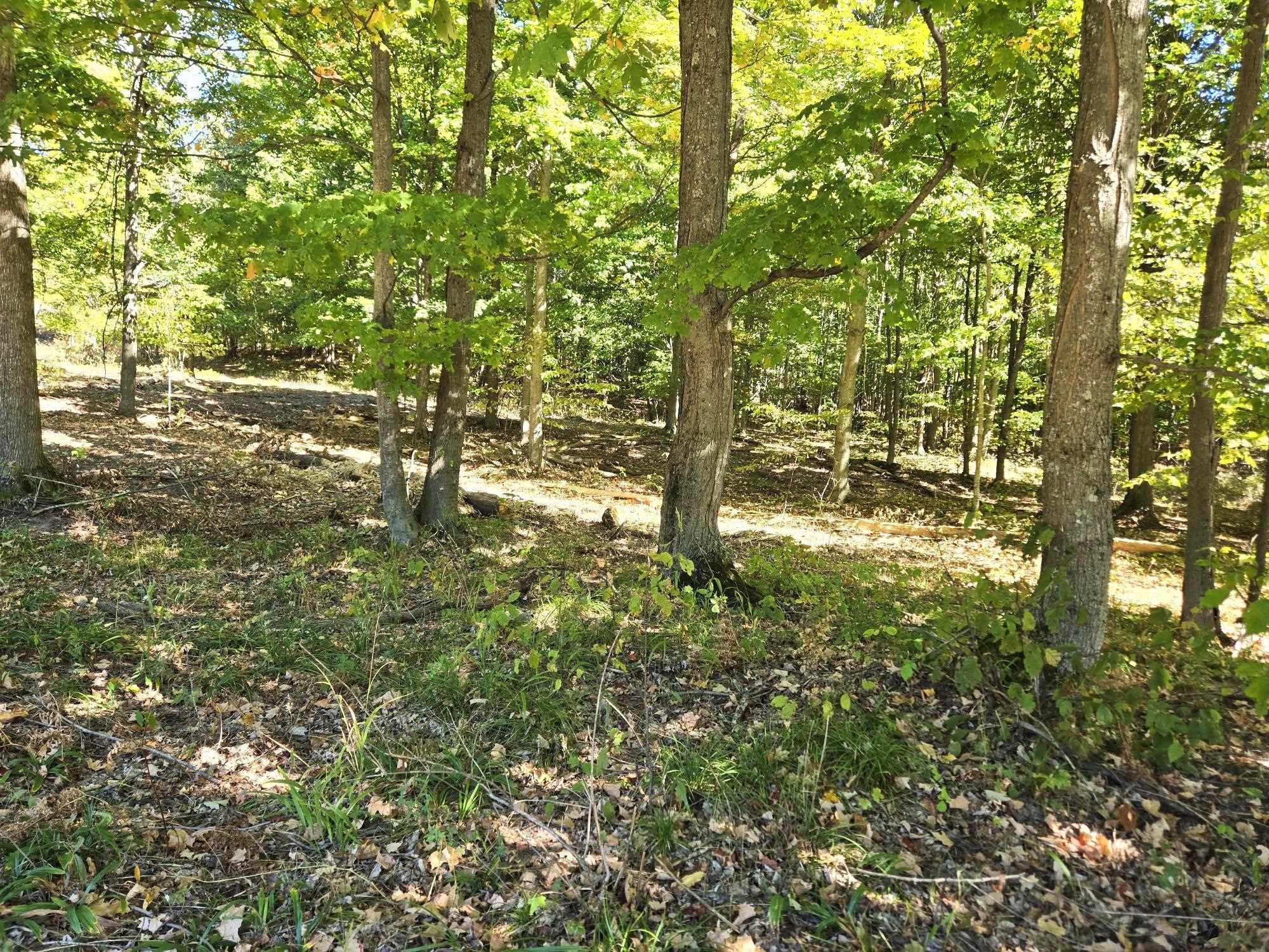 0025 Heather Ridge Trail Homestead Township MI 49617