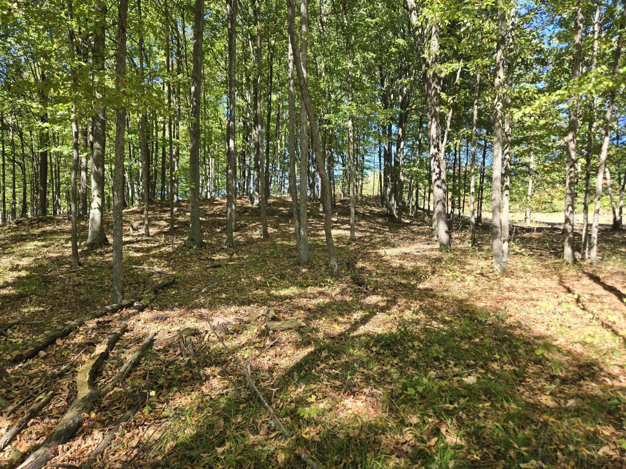0025 Heather Ridge Trail Homestead Township MI 49617
