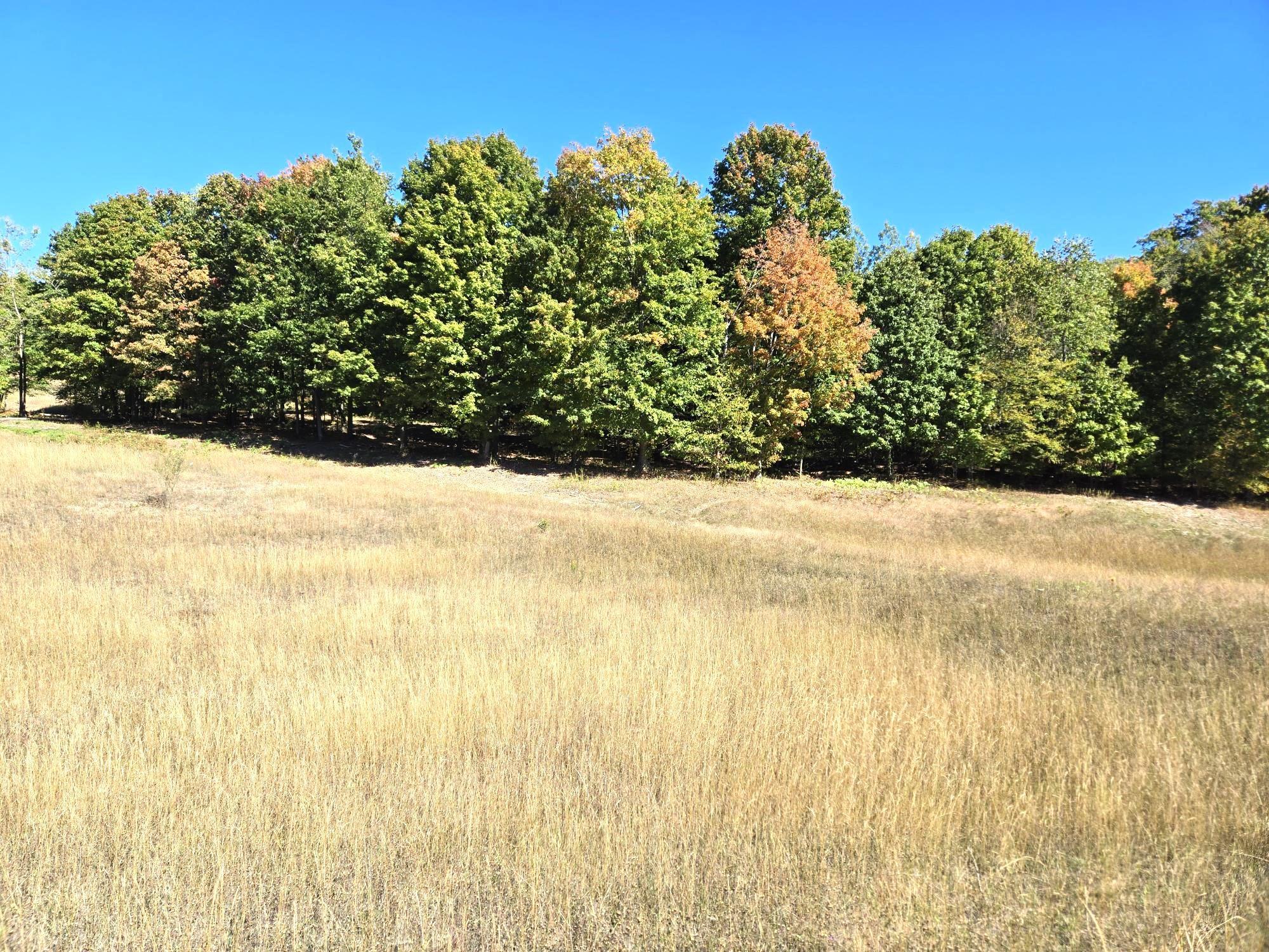 0025 Heather Ridge Trail Homestead Township MI 49617
