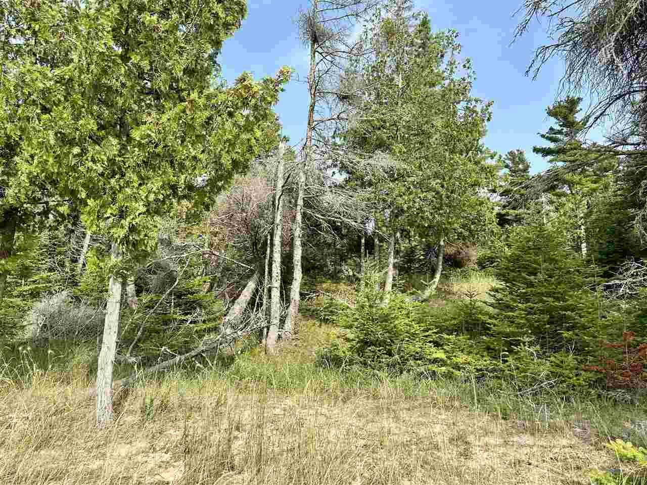Tbd Western Peaine Township MI 49782