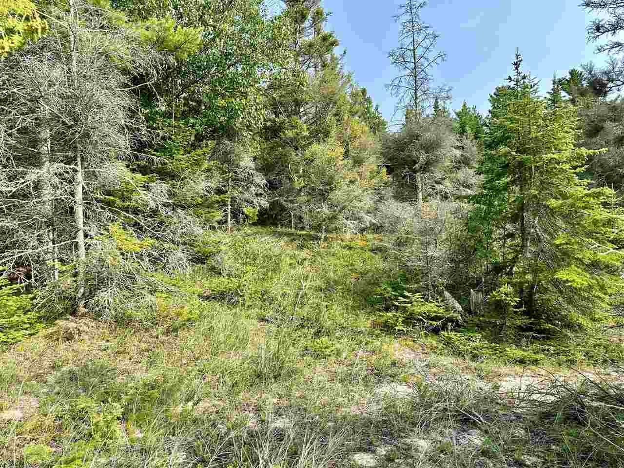 Tbd Western Peaine Township MI 49782