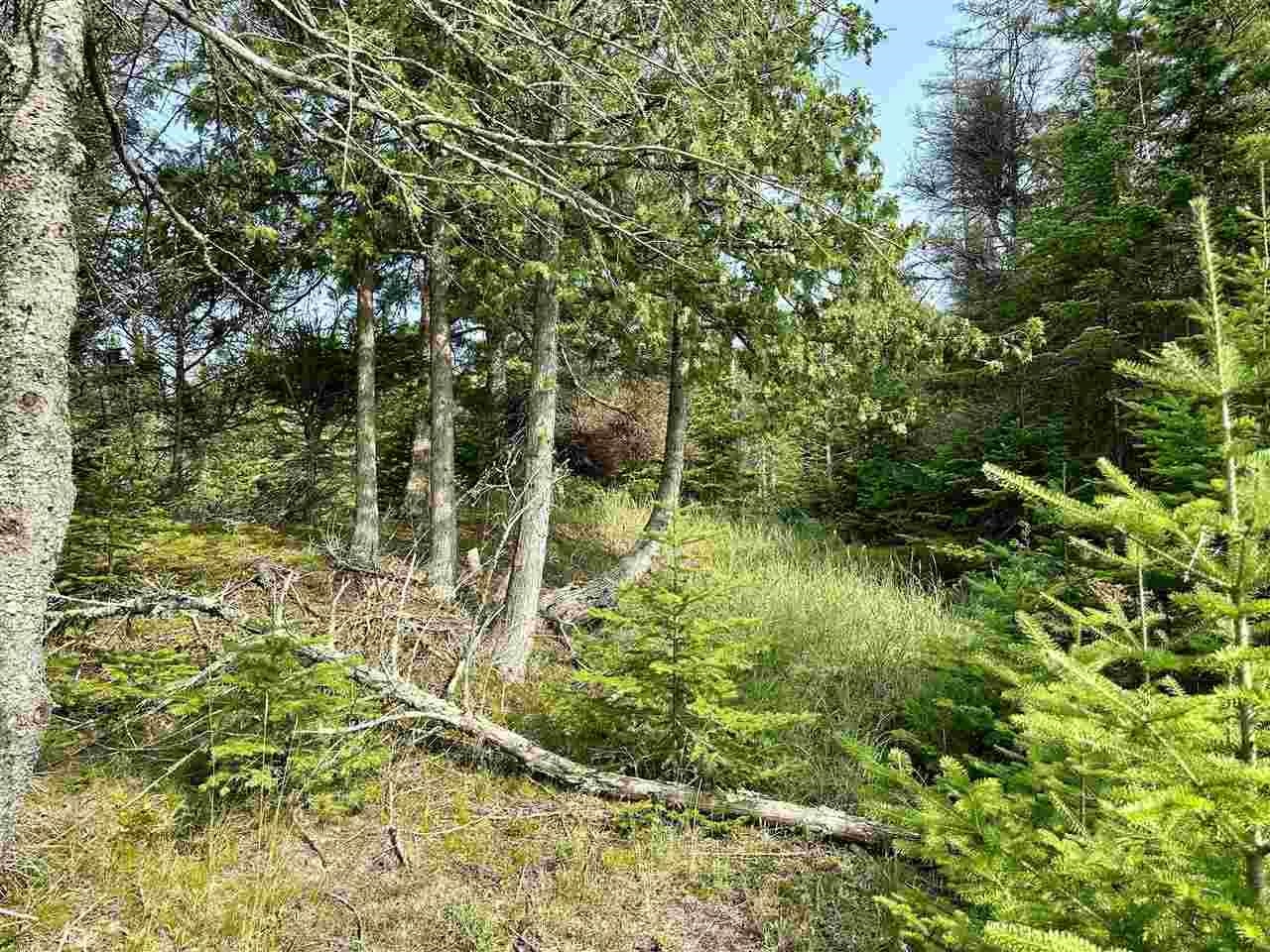 Tbd Western Peaine Township MI 49782