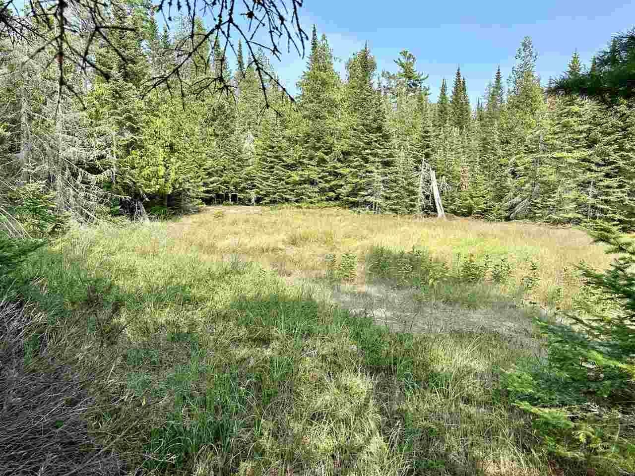 Tbd Western Peaine Township MI 49782