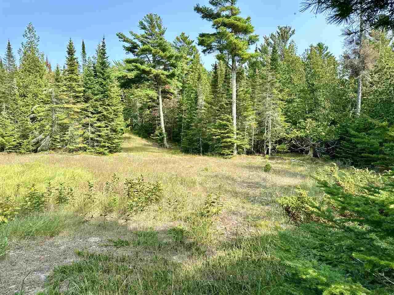 Tbd Western Peaine Township MI 49782