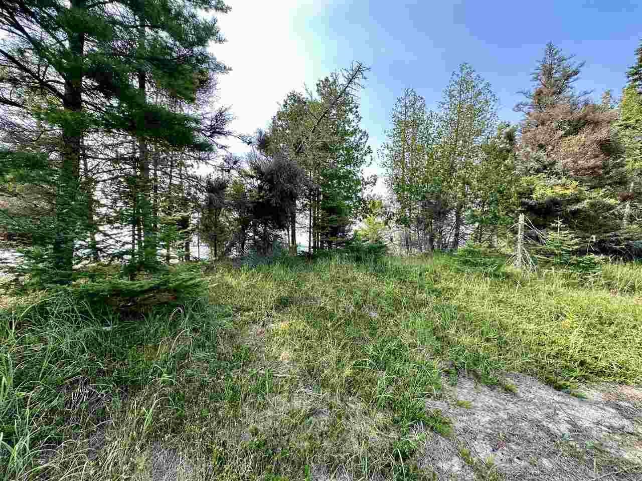Tbd Western Peaine Township MI 49782