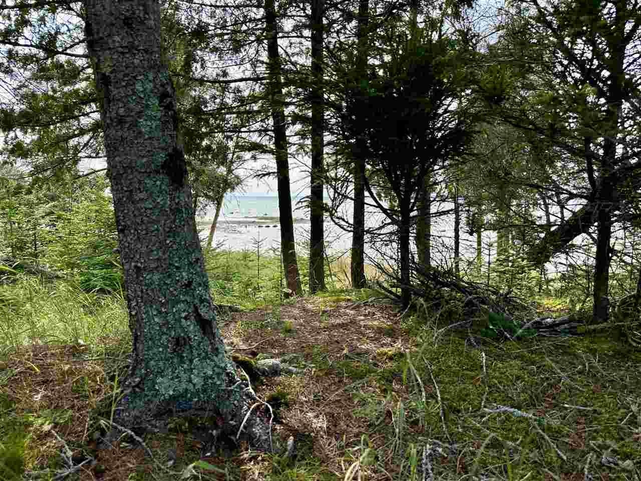 Tbd Western Peaine Township MI 49782