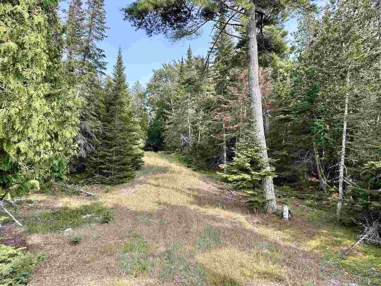 Tbd Western Peaine Township MI 49782