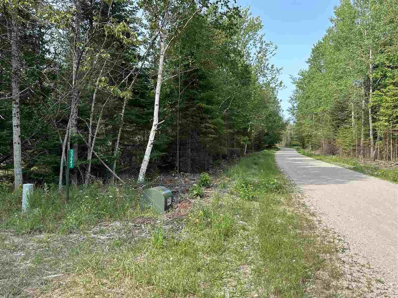 Tbd Western Peaine Township MI 49782