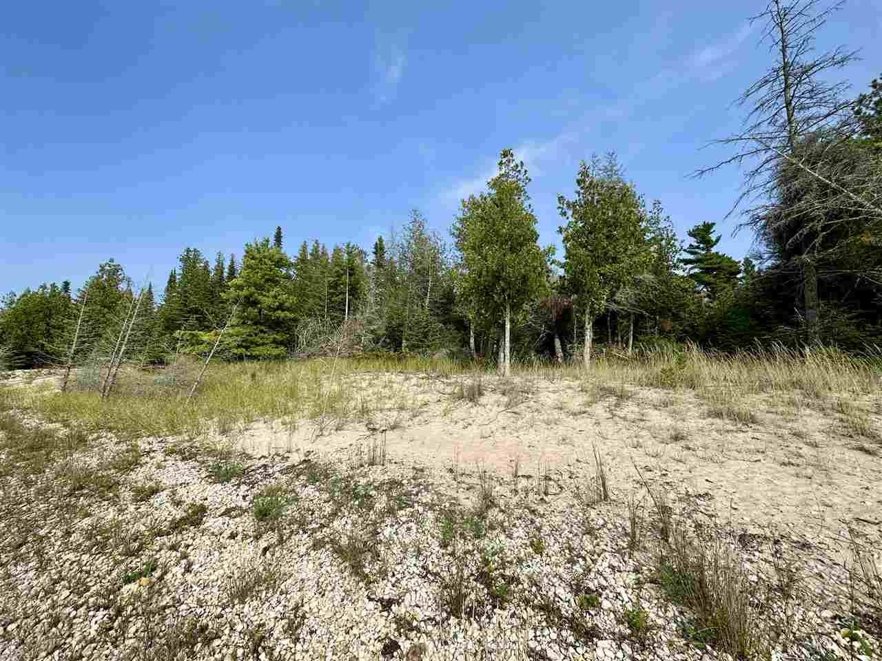 Tbd Western Peaine Township MI 49782