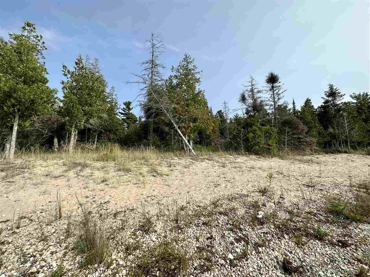 Tbd Western Peaine Township MI 49782