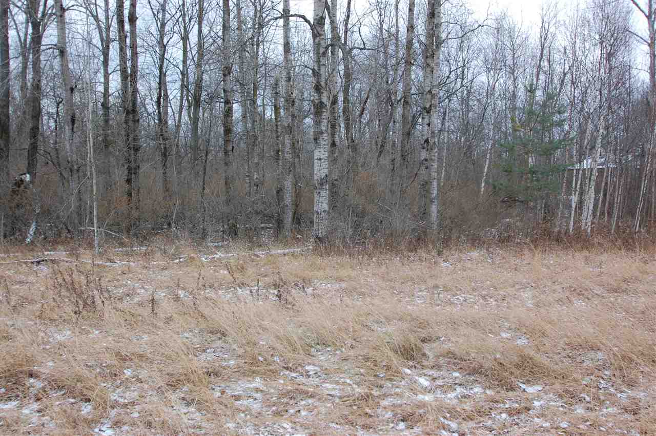 0 S First Street West Branch Township MI 48661