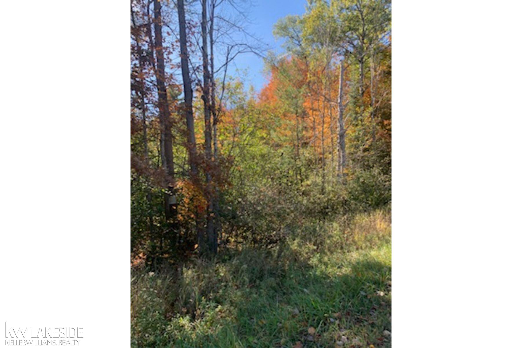 00 Lake James Denton Township MI 48651