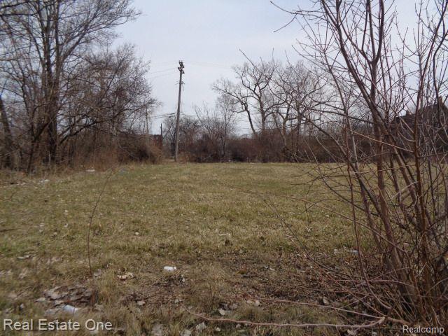 612 Concord Street Detroit City MI 48207