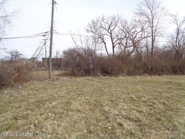 612 Concord Street Detroit City MI 48207