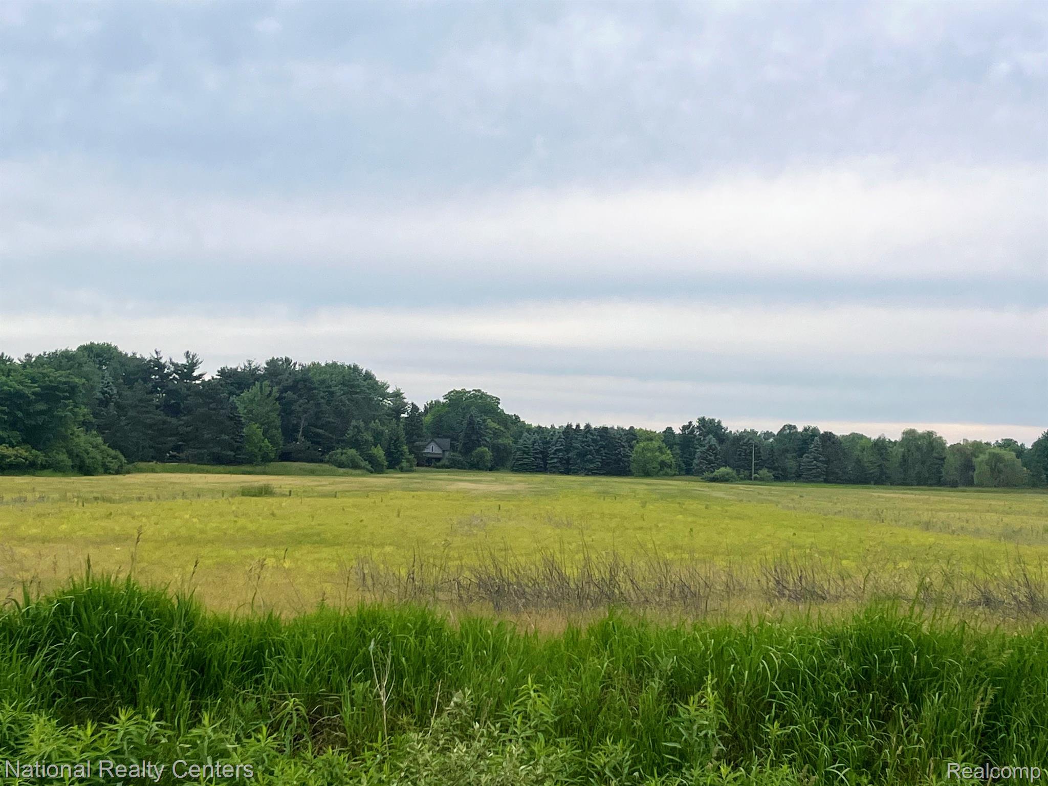 Parcel G Burt Road Berlin Township MI 48002