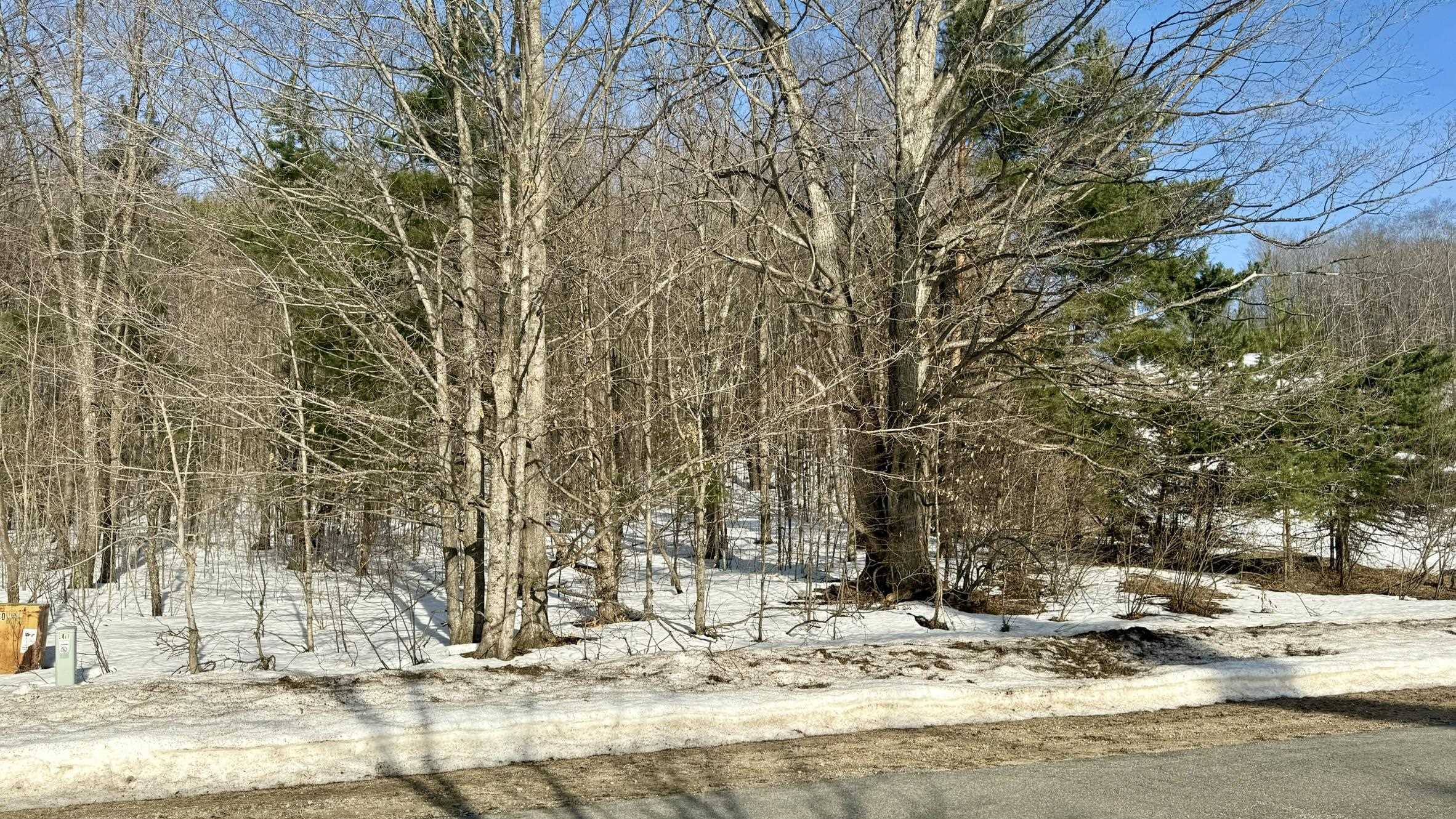 Lot 202 Clearview Drive Kearney Township MI 49615
