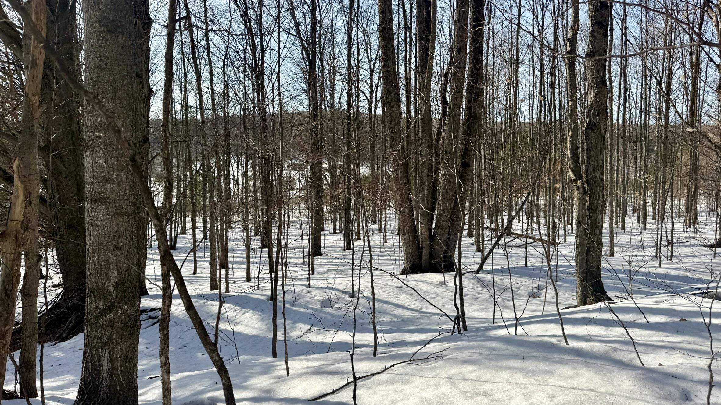 Lot 202 Clearview Drive Kearney Township MI 49615