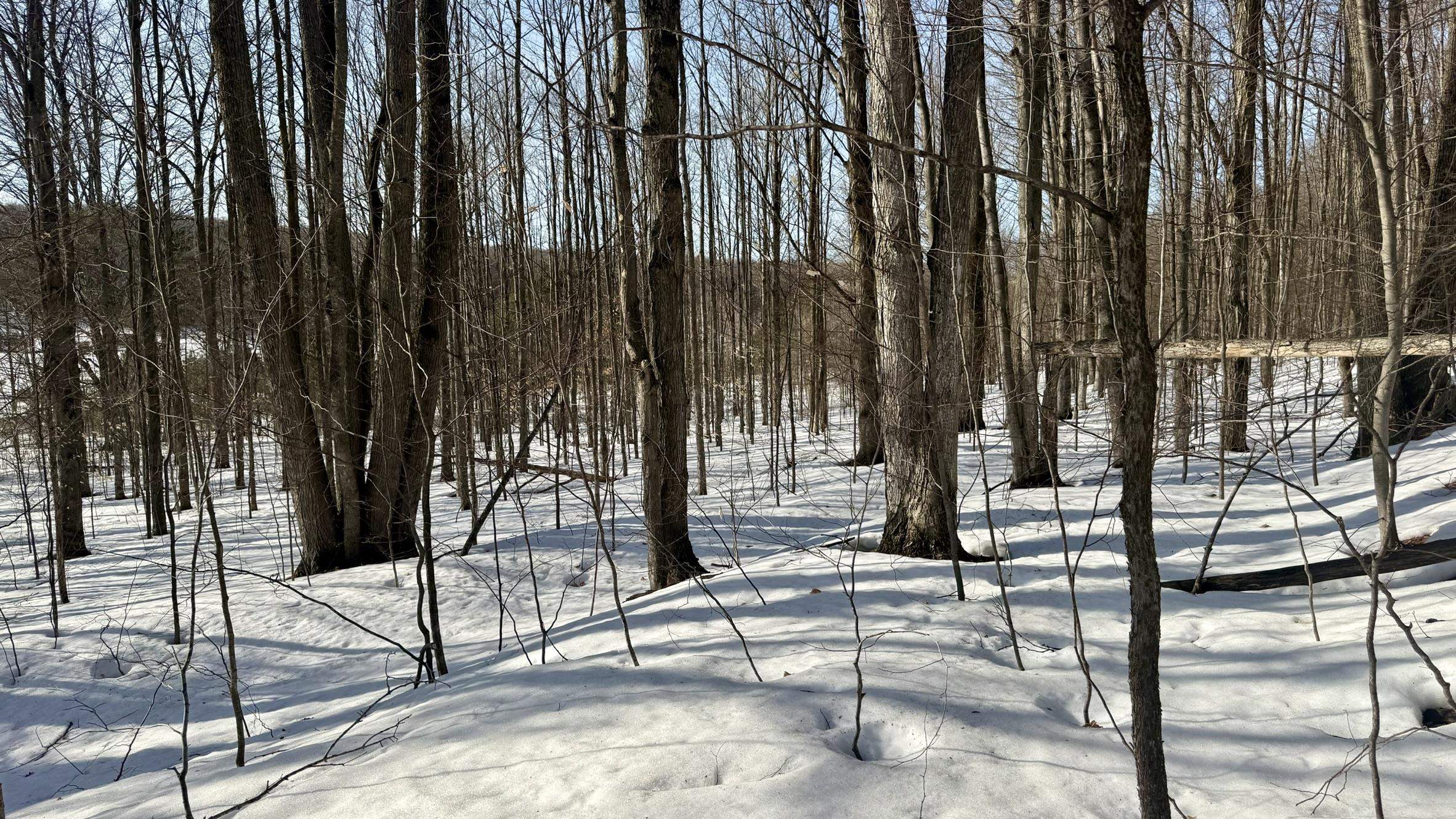 Lot 202 Clearview Drive Kearney Township MI 49615
