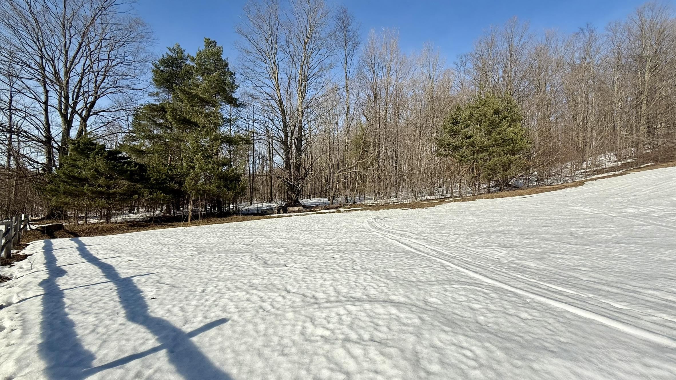 Lot 202 Clearview Drive Kearney Township MI 49615