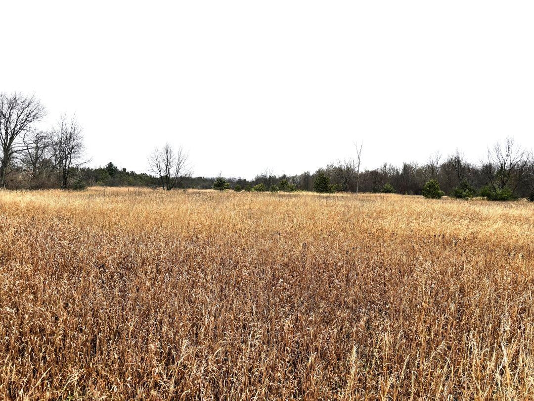 Unit 3 North Street Colfax Township MI 49683