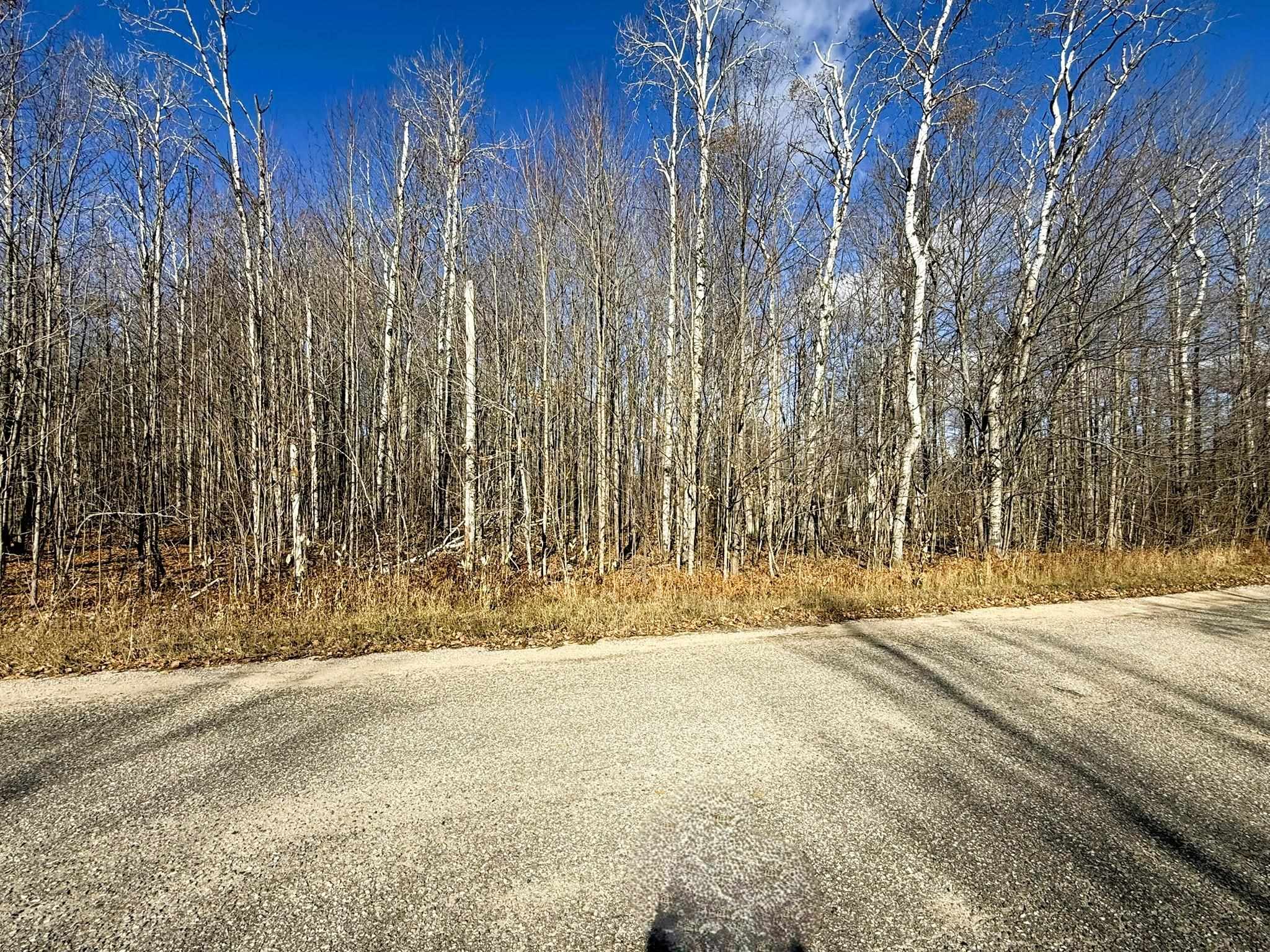 Lot 134 Wilderness Circle Mancelona Township MI 49659