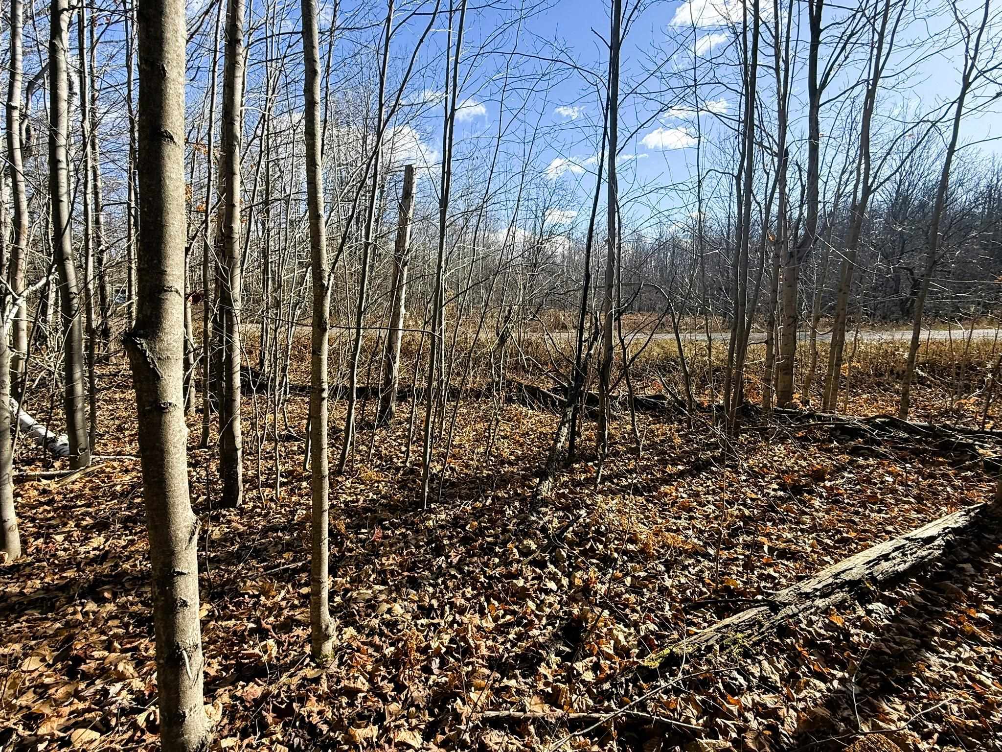 Lot 134 Wilderness Circle Mancelona Township MI 49659