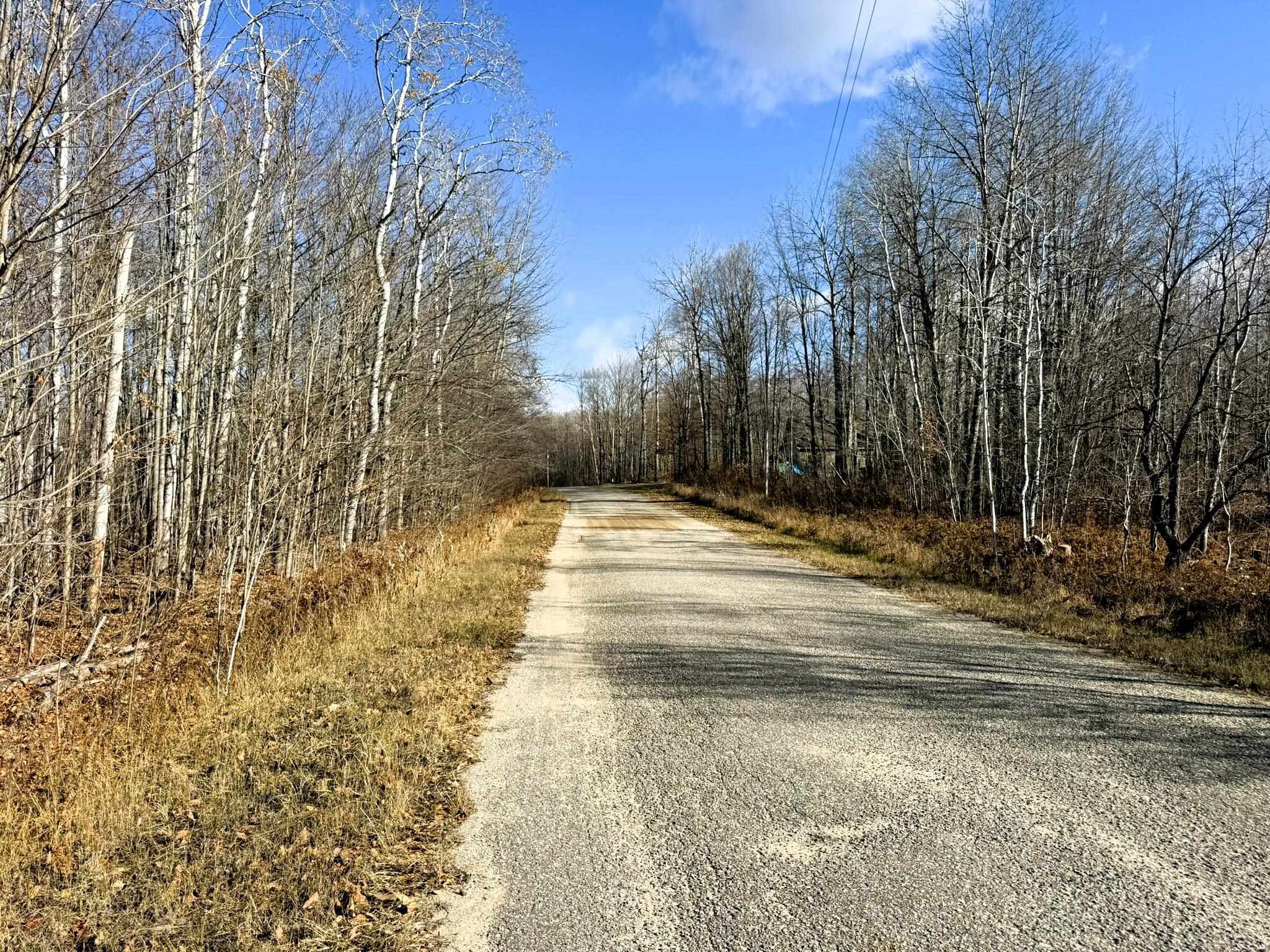 Lot 134 Wilderness Circle Mancelona Township MI 49659