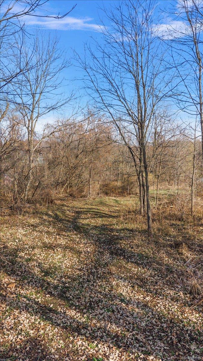 00 Collins Oakland Charter Township MI 48306