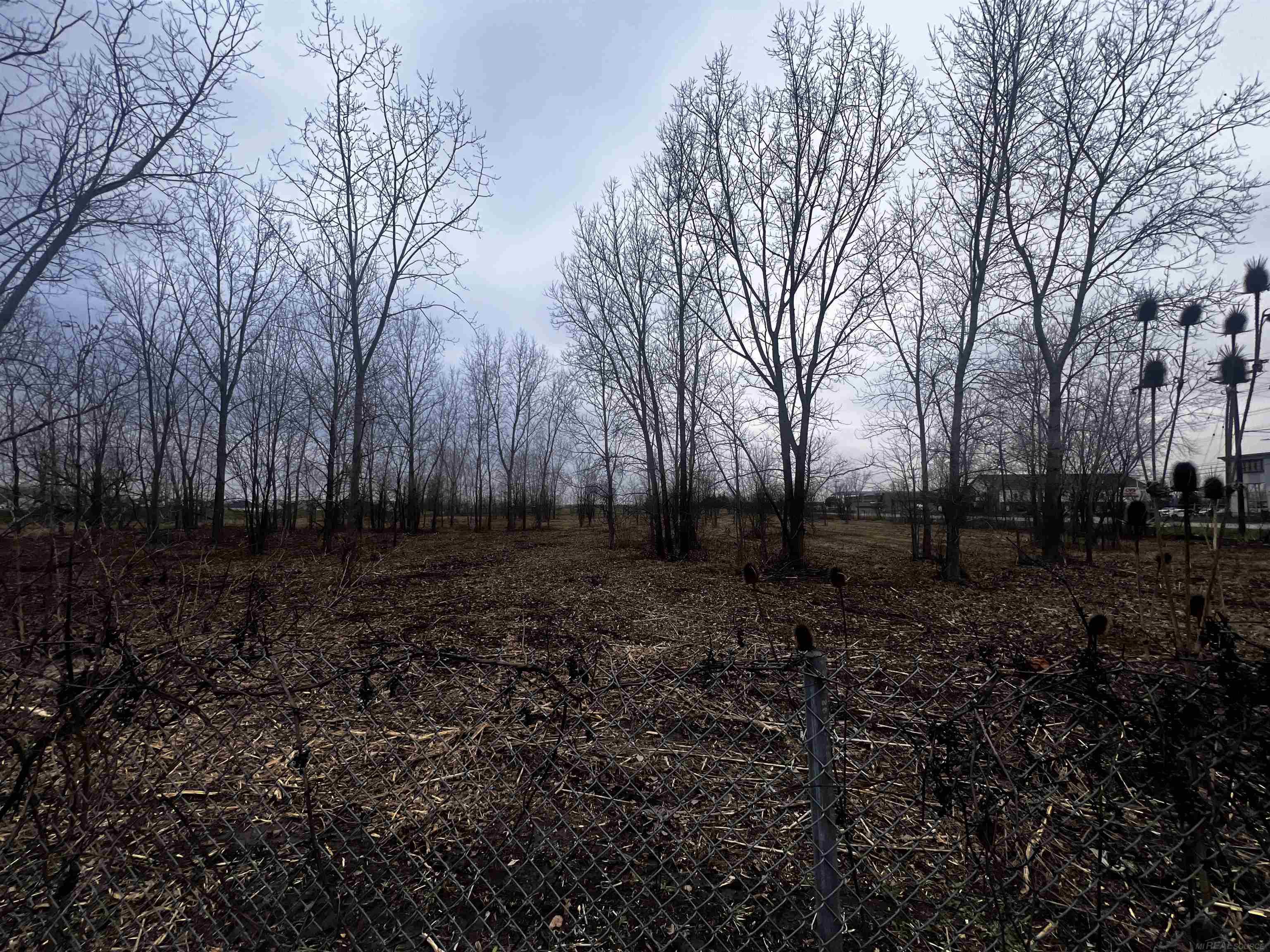 0 Merriman Road Romulus City MI 48174
