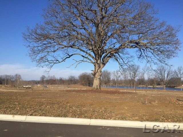 766 Eagle View Point Tecumseh City MI 49286