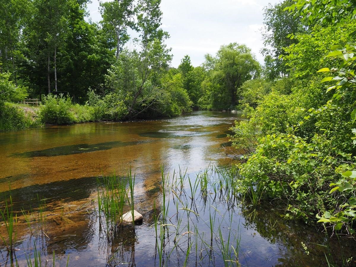 Lot 4 Meadow Lane Colfax Township MI 49683