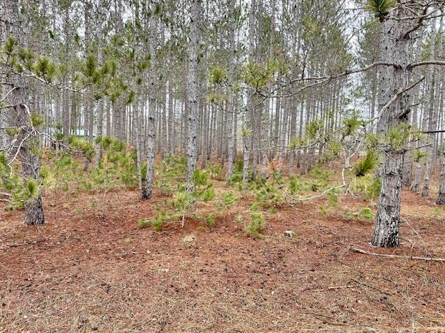 Lot 4 Meadow Lane Colfax Township MI 49683