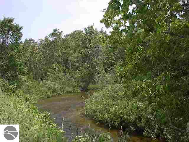 Lot 4 Meadow Lane Colfax Township MI 49683