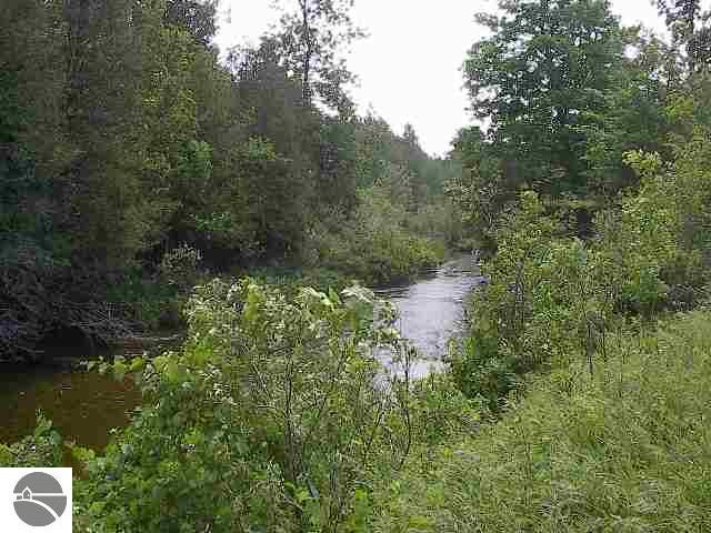 Lot 4 Meadow Lane Colfax Township MI 49683
