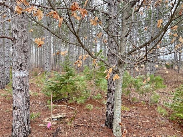 Lot 4 Meadow Lane Colfax Township MI 49683