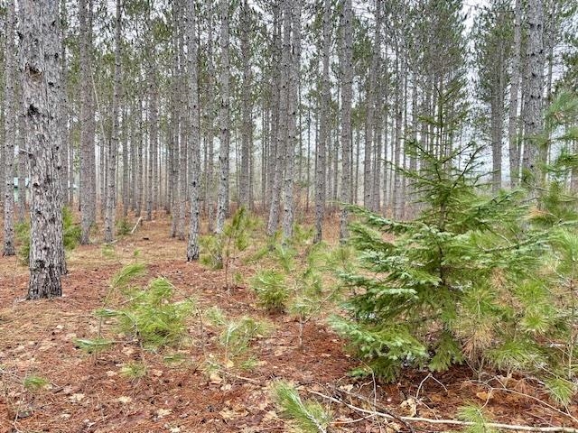 Lot 4 Meadow Lane Colfax Township MI 49683