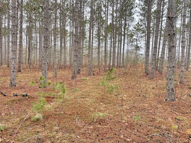 Lot 4 Meadow Lane Colfax Township MI 49683