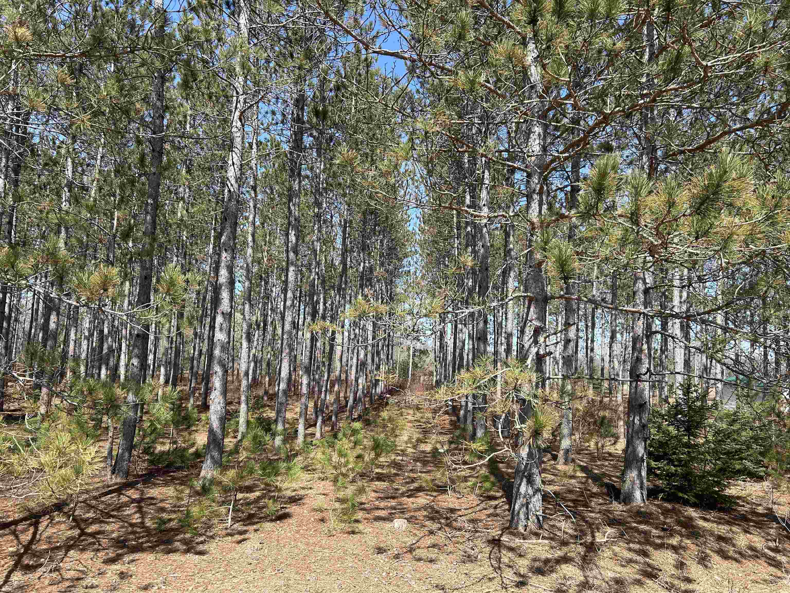 Lot 4 Meadow Lane Colfax Township MI 49683