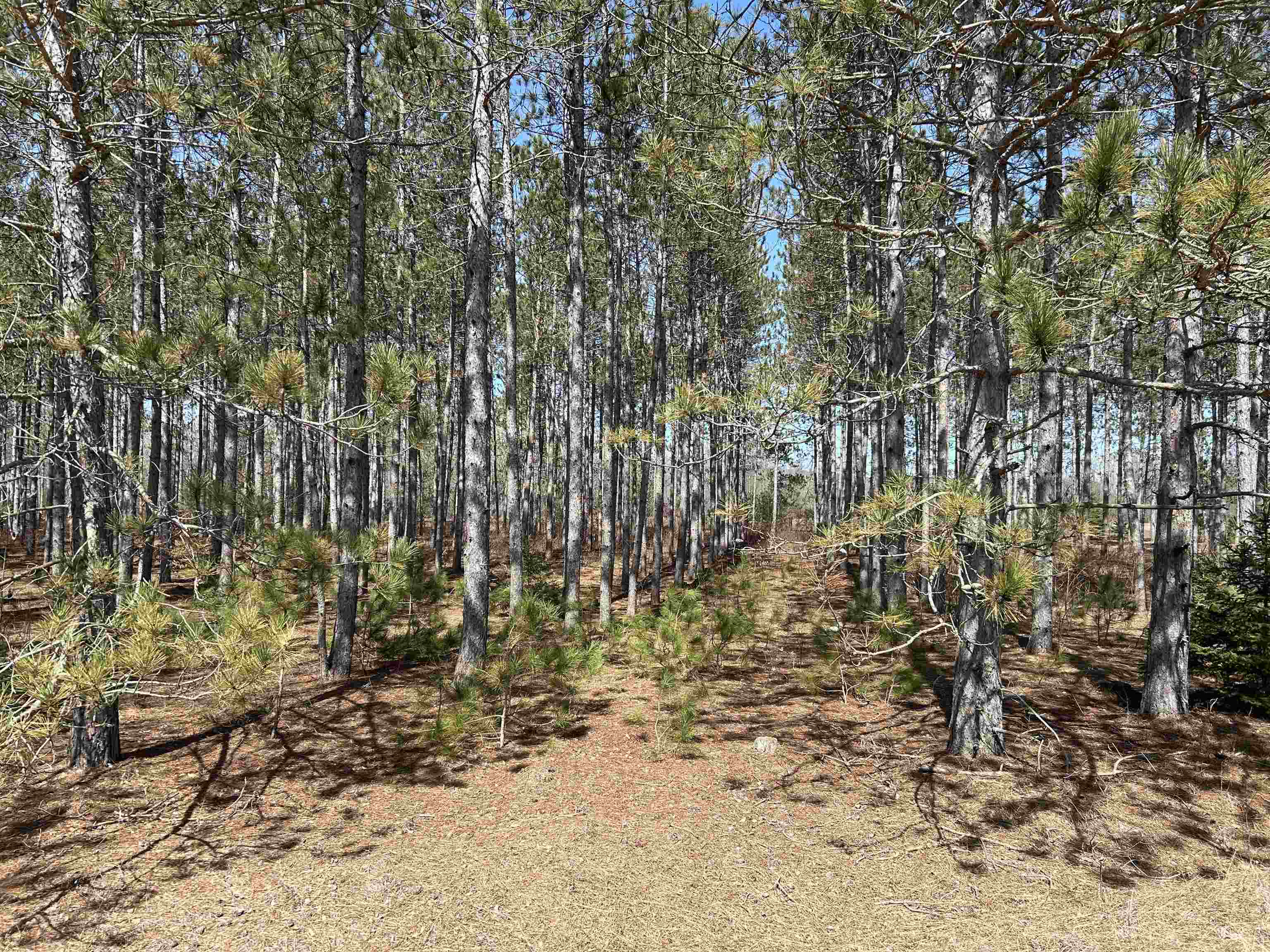 Lot 4 Meadow Lane Colfax Township MI 49683