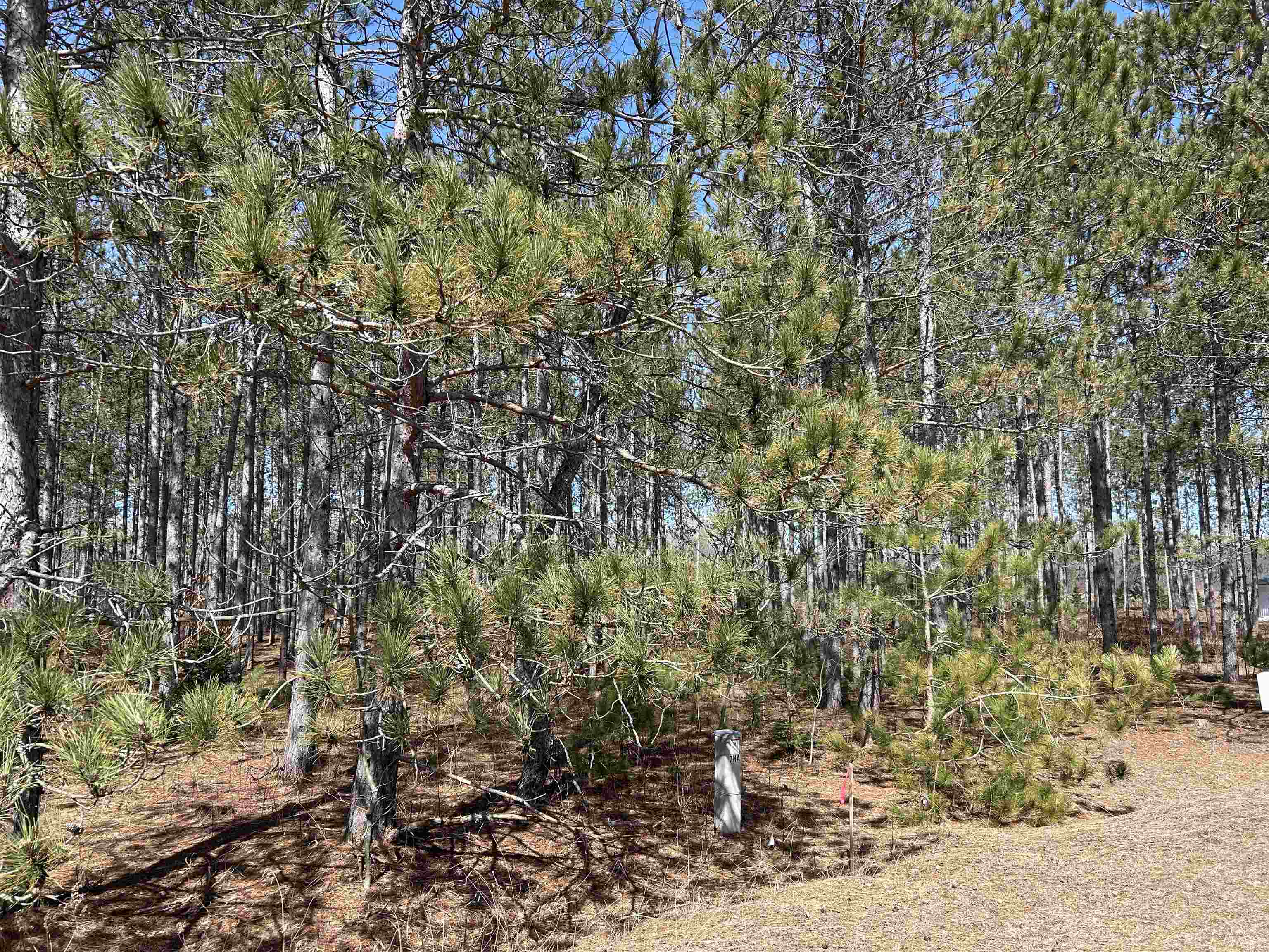 Lot 4 Meadow Lane Colfax Township MI 49683