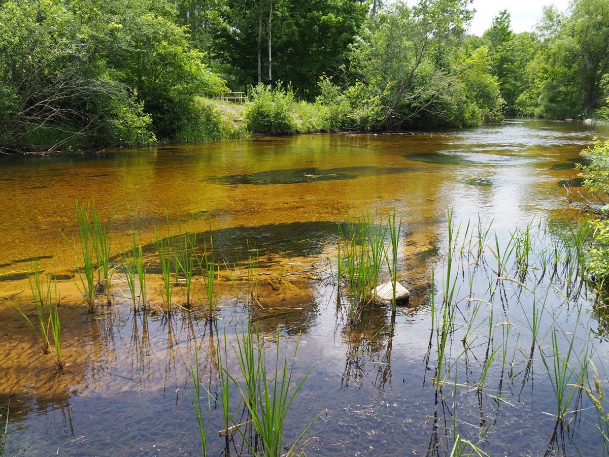 Lot 4 Meadow Lane Colfax Township MI 49683