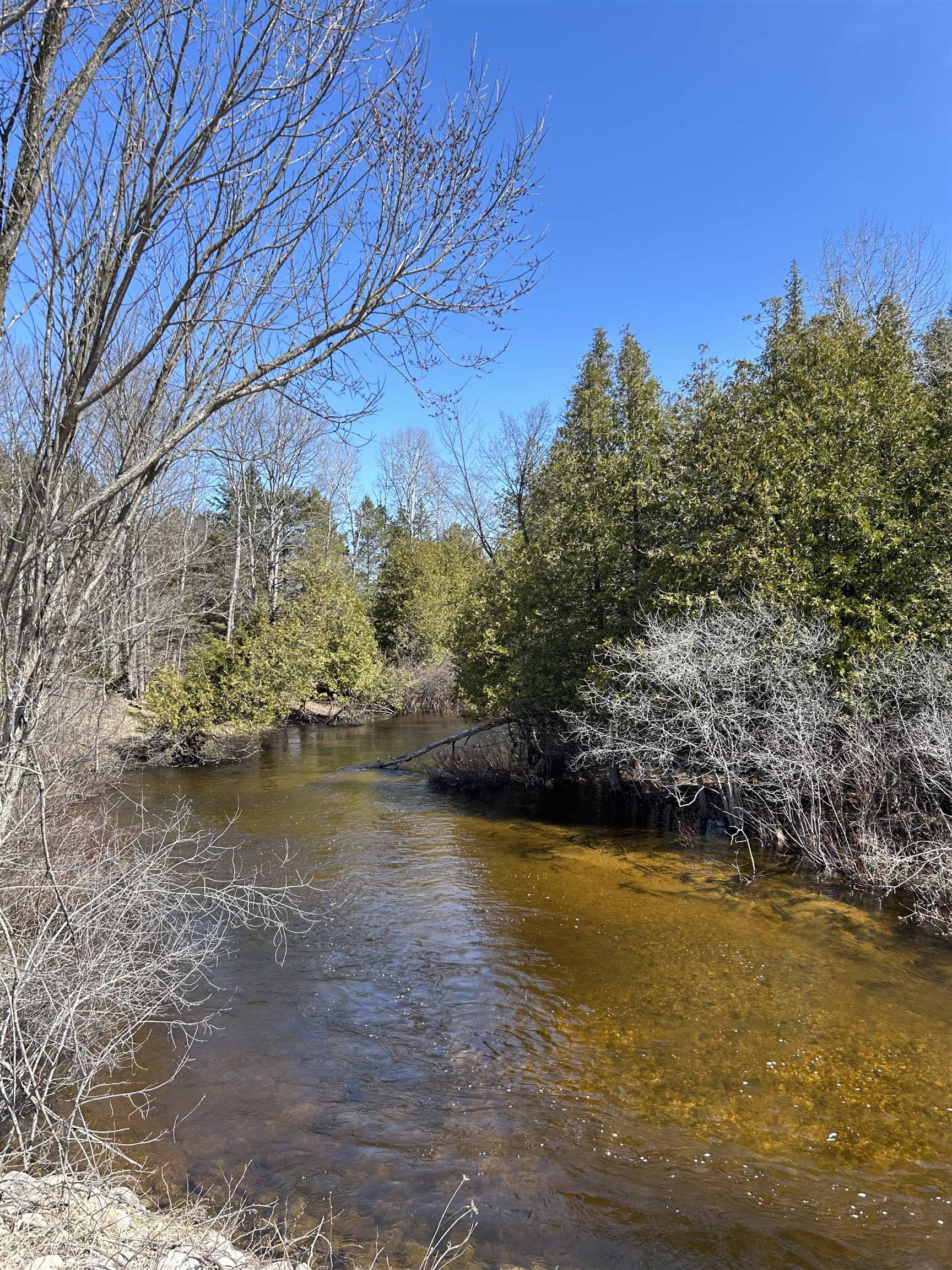Lot 4 Meadow Lane Colfax Township MI 49683