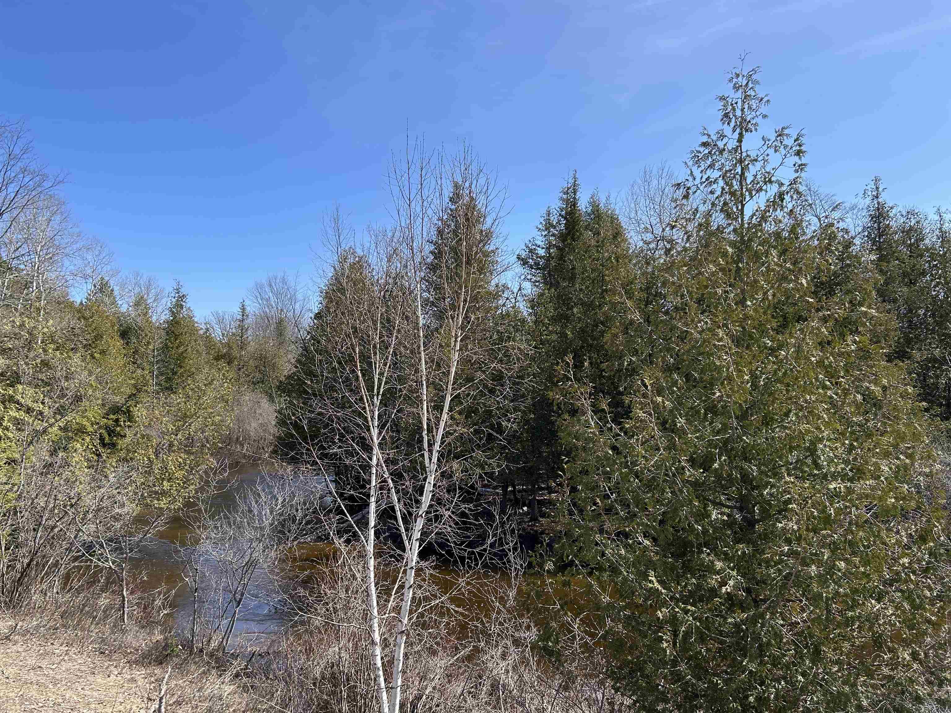 Lot 4 Meadow Lane Colfax Township MI 49683