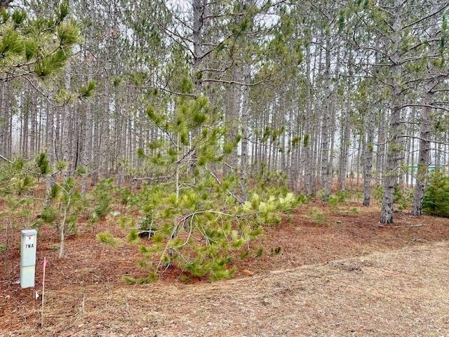 Lot 4 Meadow Lane Colfax Township MI 49683
