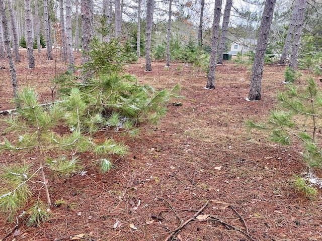 Lot 4 Meadow Lane Colfax Township MI 49683